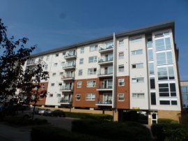 Clarkson Court, HATFIELD photo