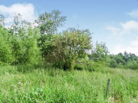 Mill Common, Fakenham photo