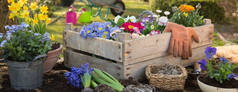Tips on preparing your garden for a sale