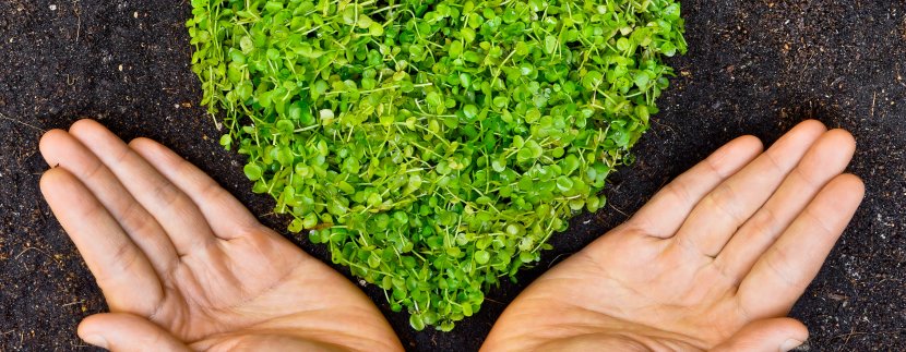 Advice from Nick James, Director of Moginie James on how to save money by going green..