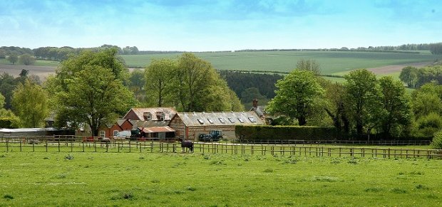 Why Use A Specialist Equestrian Estate Agent?