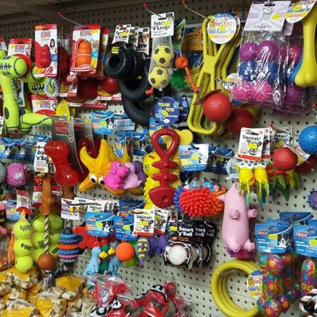 Tails Pet Shop