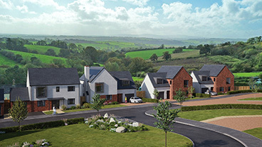 Belstone View, Mochard Bishop