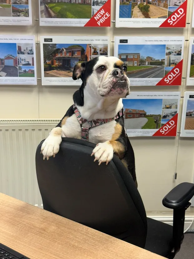 https://mr0.homeflow-assets.co.uk/files/avatar/image/5540/8396/_x_/Betty.png