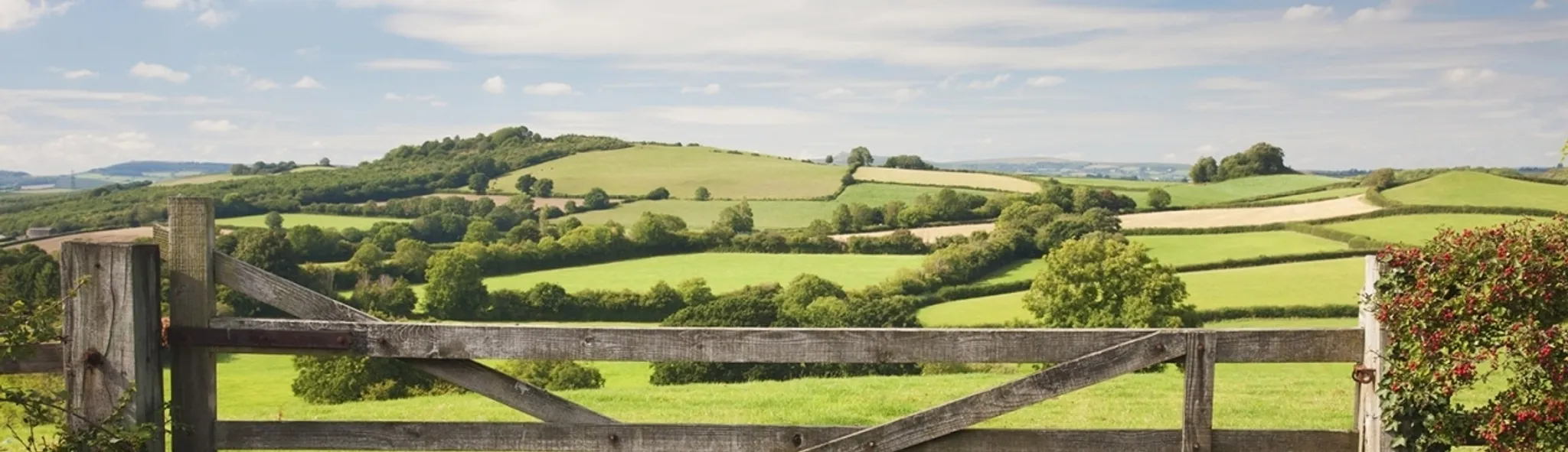 https://mr0.homeflow-assets.co.uk/files/branch_photo/image/6765/1414/_x_/cullompton-hills_1296x374_acf_cropped.jpg
