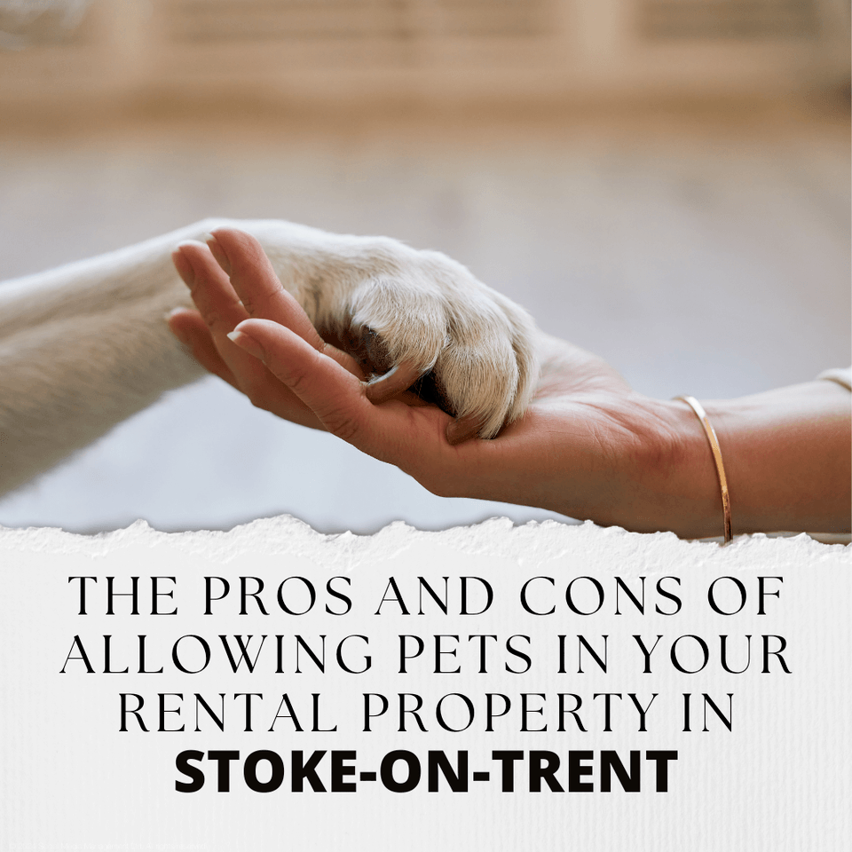 The Pros and Cons of Allowing Pets in Your Rental Property in Stoke-on-Trent