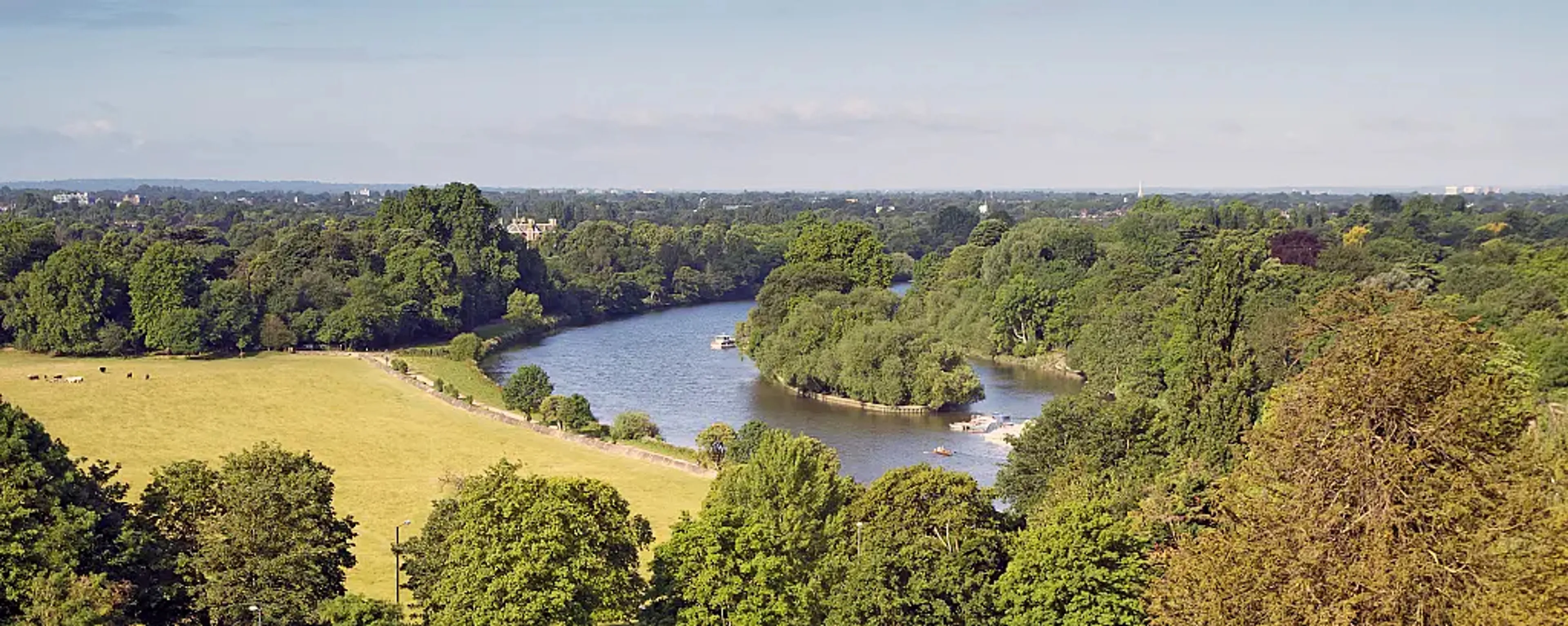 EastSheen1.jpg