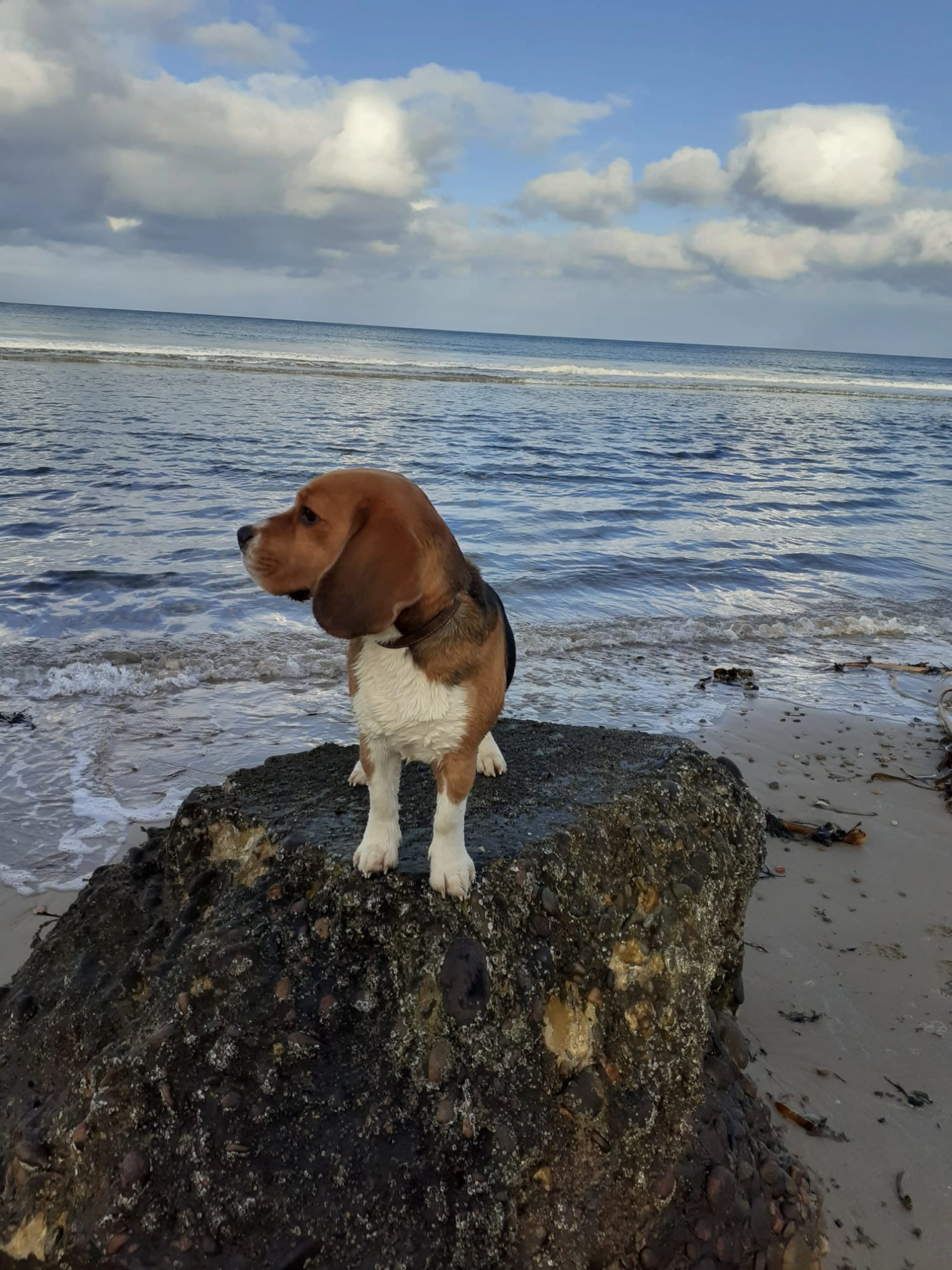 https://mr0.homeflow-assets.co.uk/files/media/image/0000/0000/694242241effdc0d54ad180f5f3e5904/Emma2.jpg