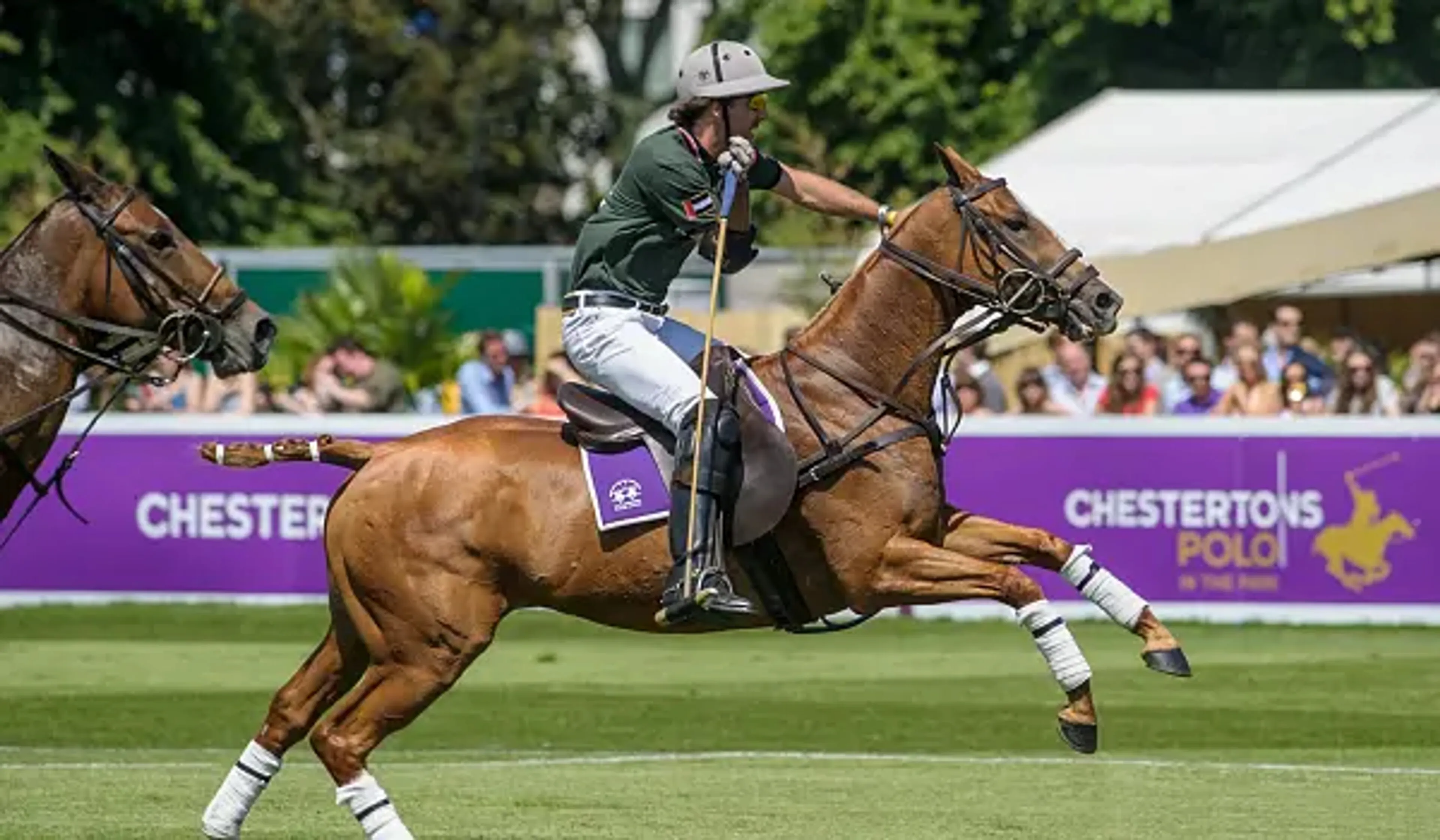 The Rules Of Polo