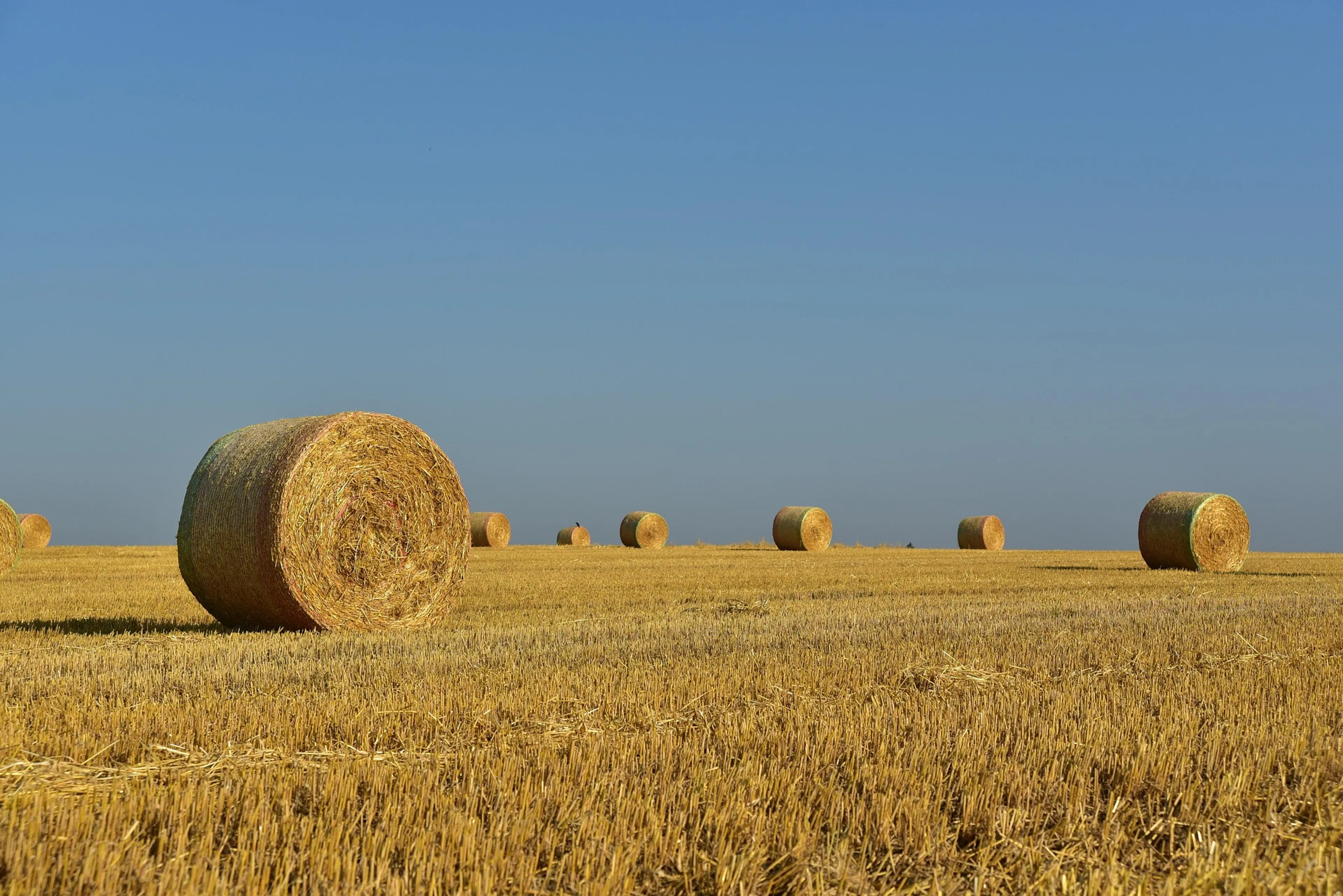 https://mr0.homeflow-assets.co.uk/files/media/image/0000/0000/aac5463fea70c0b3cce9f5e7df193ace/hay_bales_cotswolds.jpg