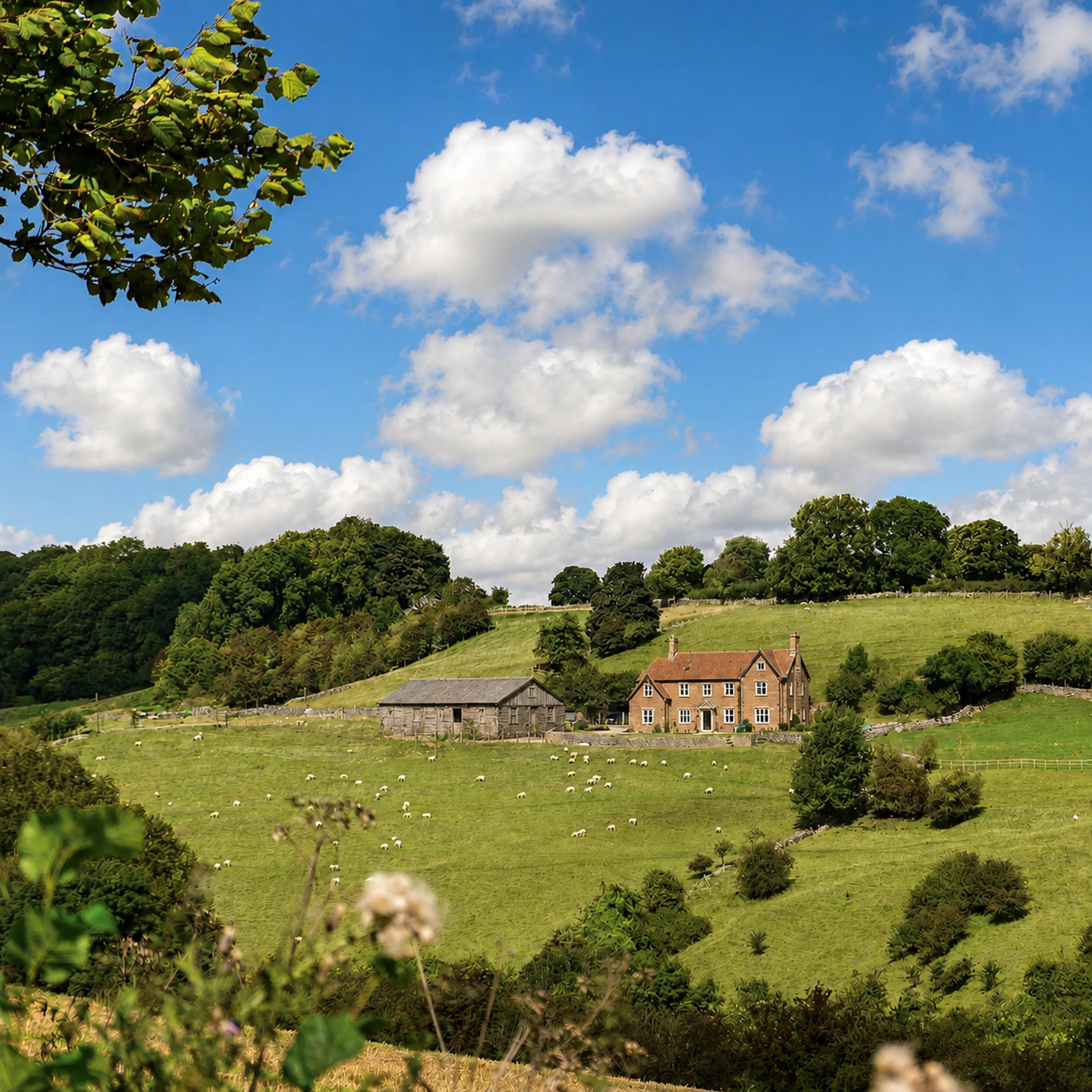 https://mr0.homeflow-assets.co.uk/files/media/image/0000/0000/b1a4db596d7ef0aa62f3e7d2f9421ea4/farm_and_homes_with_land.png