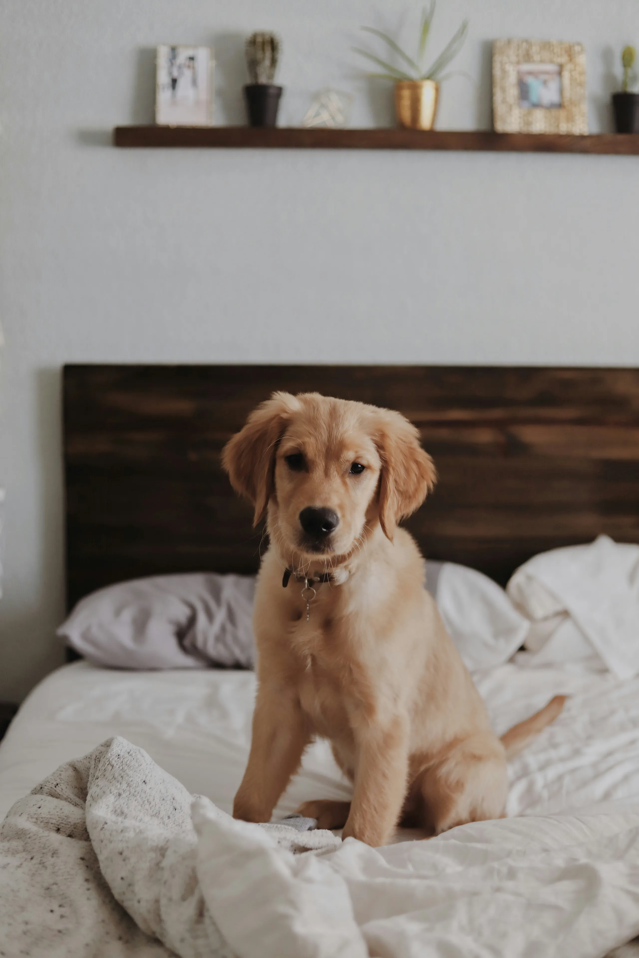 amy-humphries-AllEP6K_TAg-unsplash.jpg
