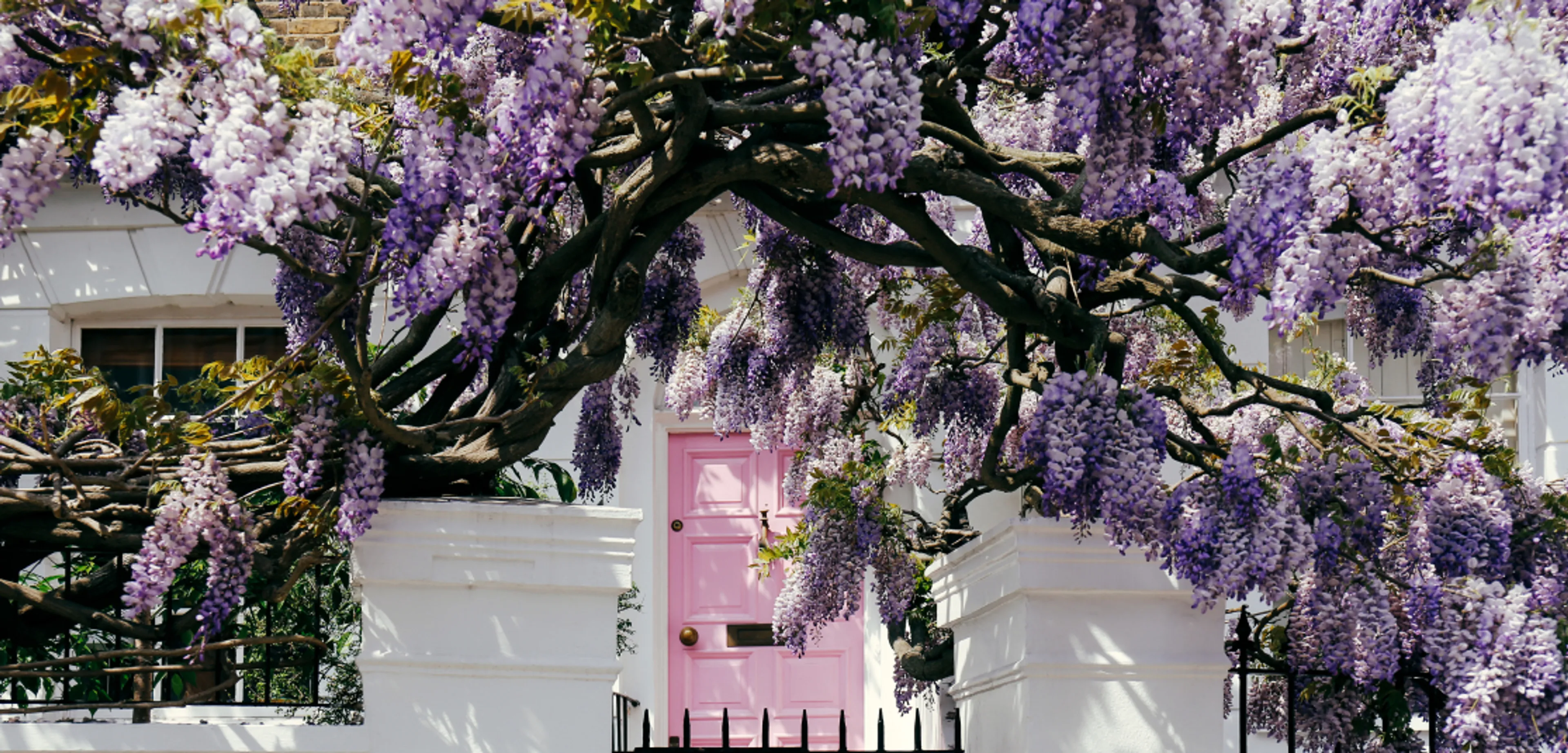 1115x535px-NottingHill-1.jpg