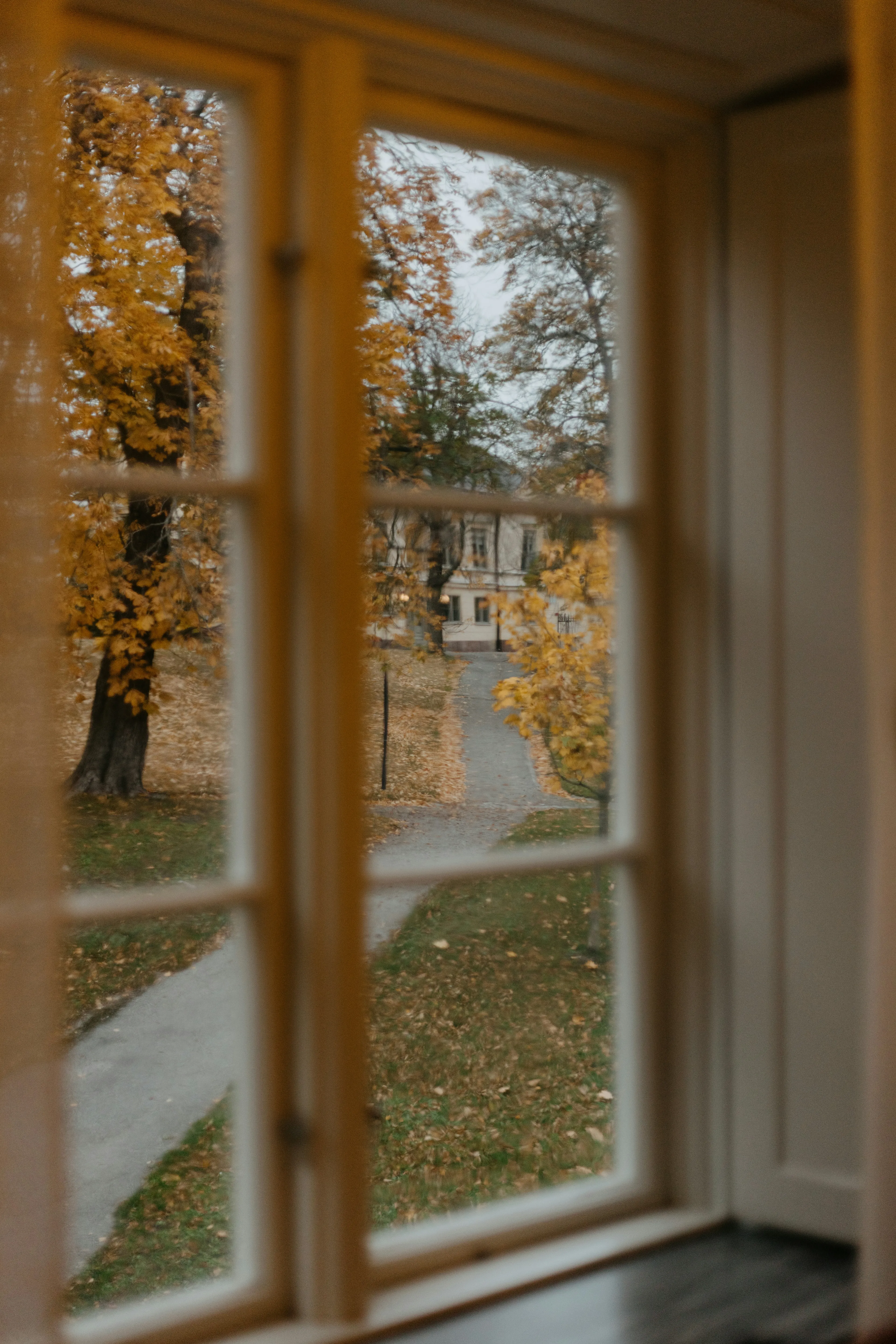 Why darker evenings make for cosier Autumn viewings