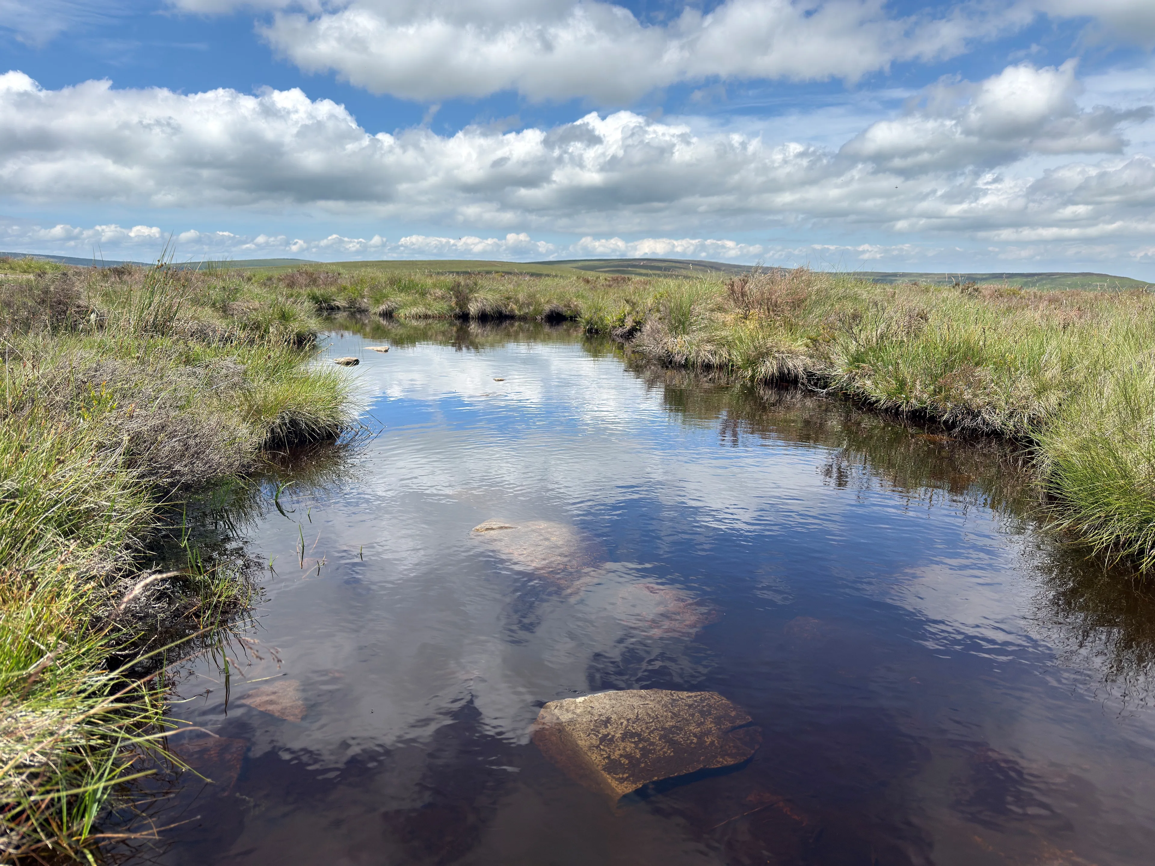https://mr0.homeflow-assets.co.uk/files/media/image/0000/0000/e7a1c63962a6cdbf619d187f54557ad8/ponds.jpg