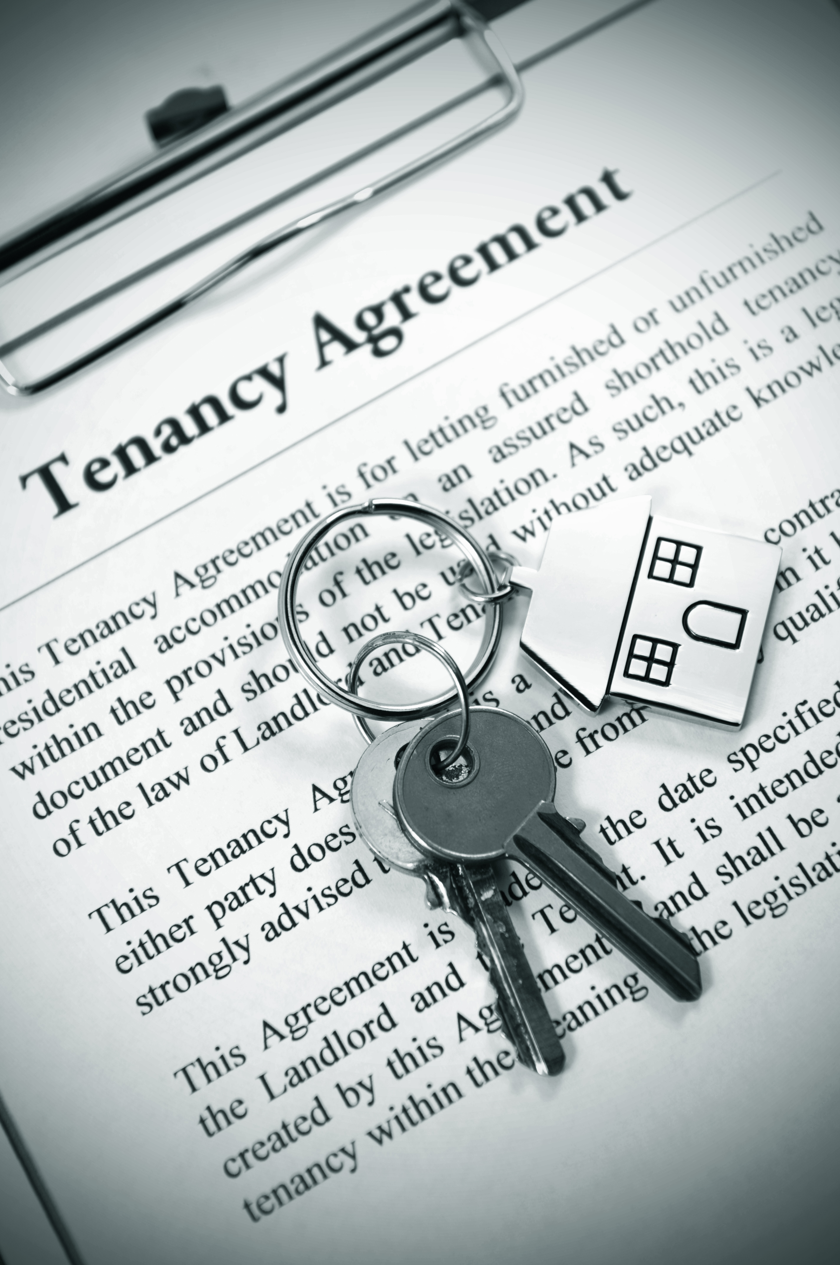 https://mr0.homeflow-assets.co.uk/files/media/image/0000/0000/e1c0355cd1bd47c249720ee458c5c903/renters-new-rights-2025.jpg