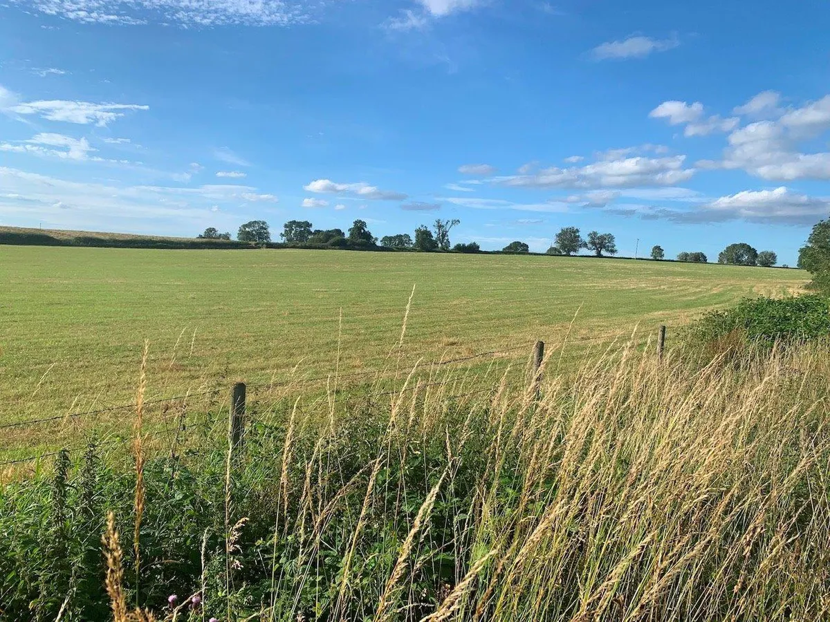 Hickling Pastures