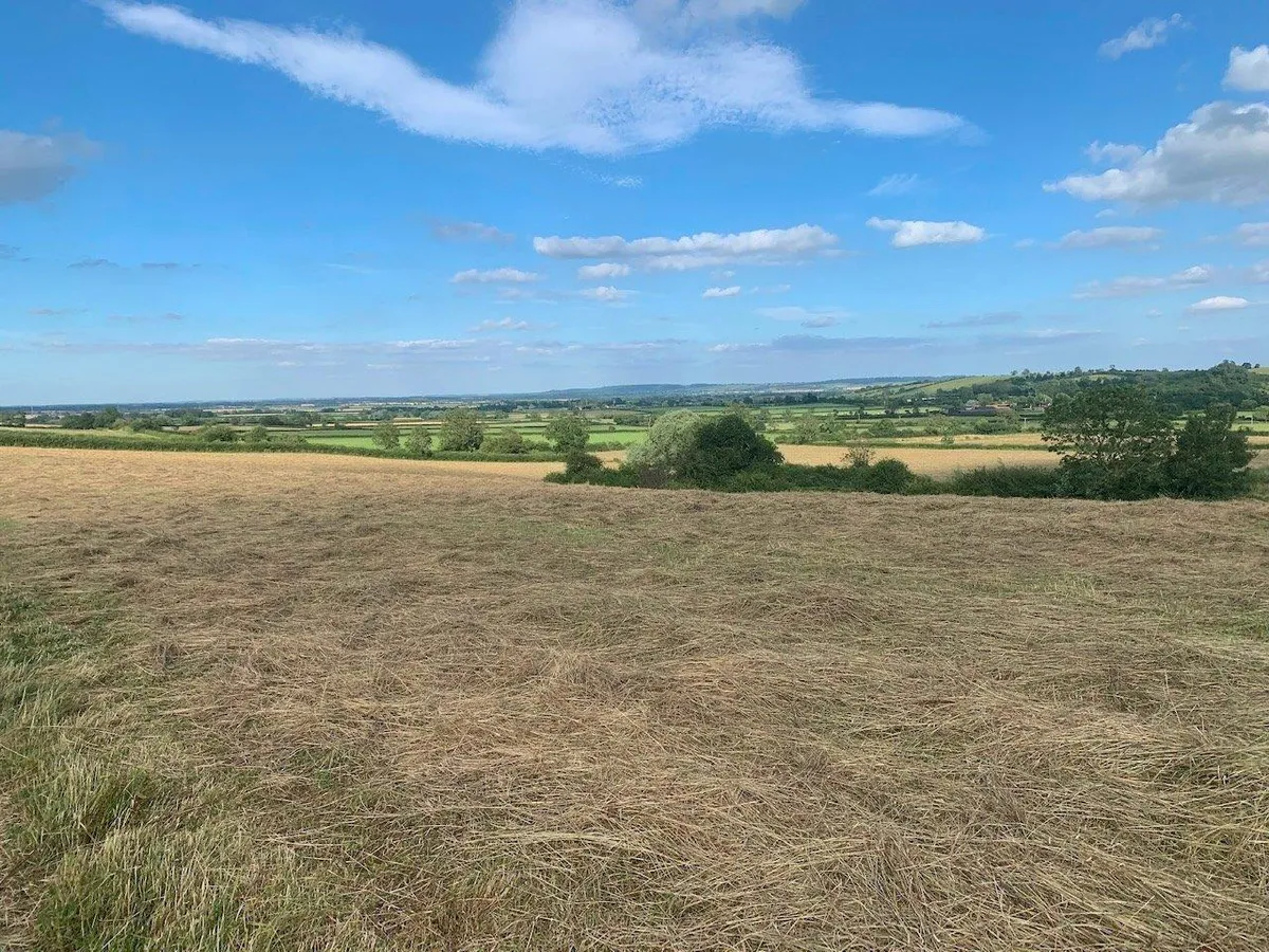 Hickling Pastures