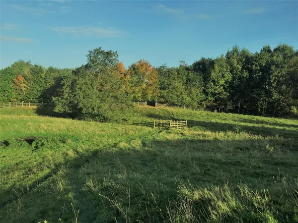 Whissendine, Rutland.Oakham Road, LE15 7EZ. Pasture Land with stream - 5.2  Acres or thereabouts