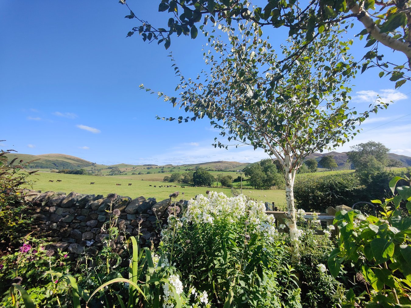 Properties for sale from Penrith branch, Cumbrian Properties.