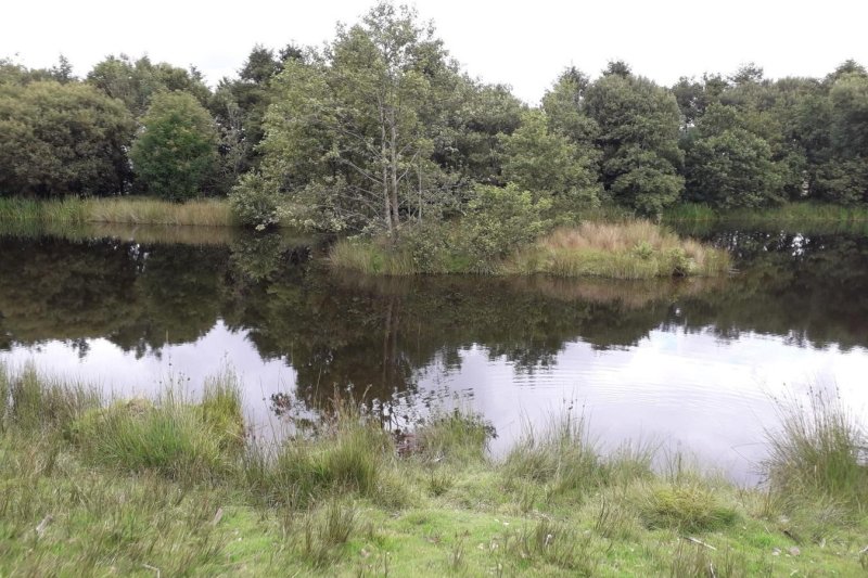 property for sale in Cellan, Lampeter, SA48 £150,000