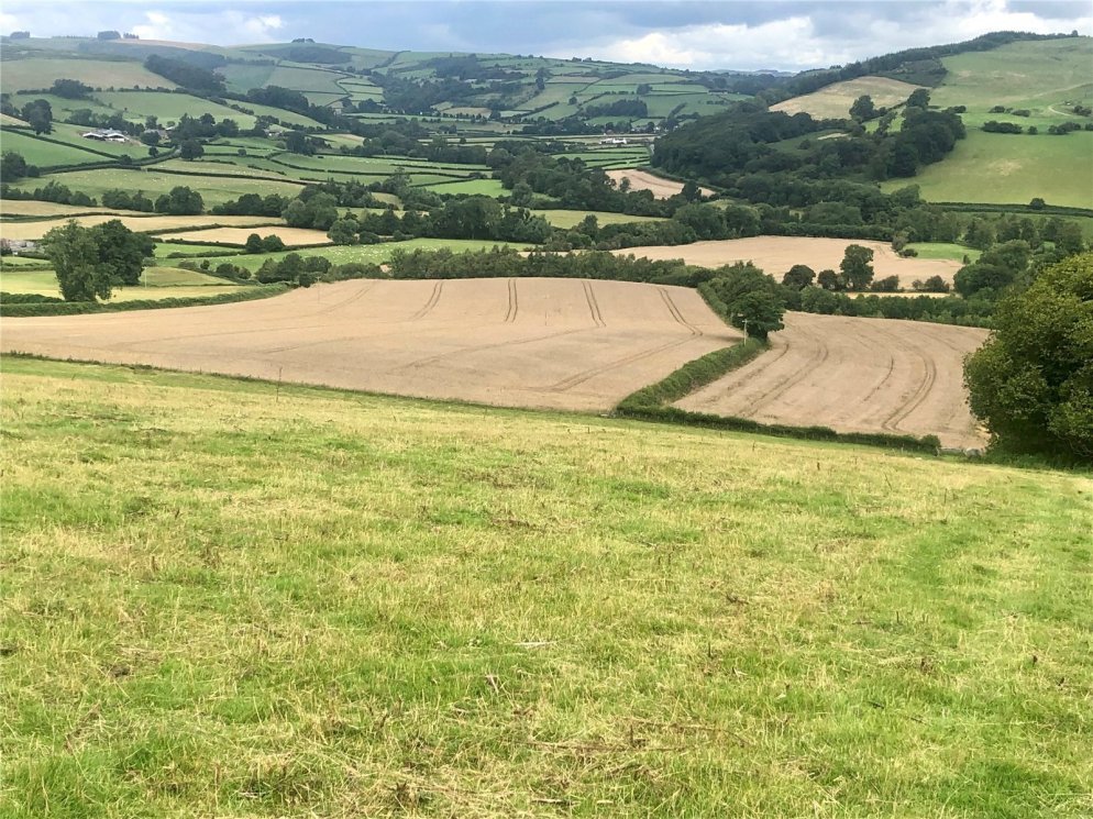 property for sale in 61.90 Acres Of Land At Discoed, Presteigne, Powys