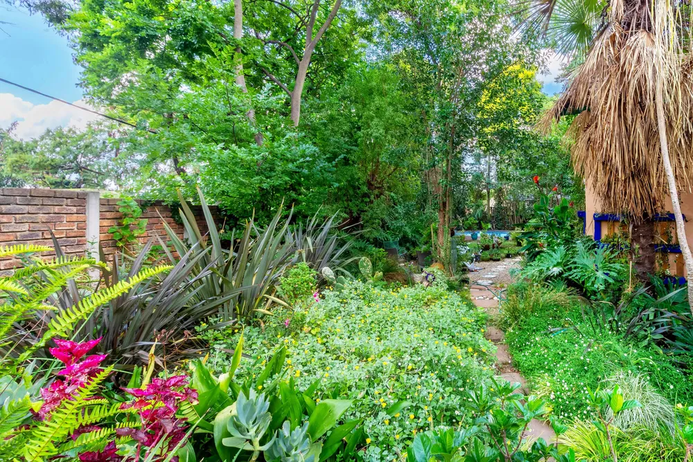 South Africa, Gauteng, Risidale, Barry Road, 10