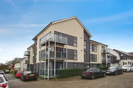 Property responsive