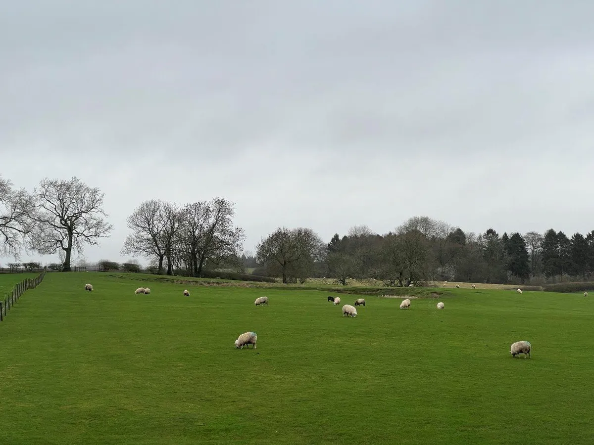 THE FLAT, SPINNEY FARM, THRUSSINGTON