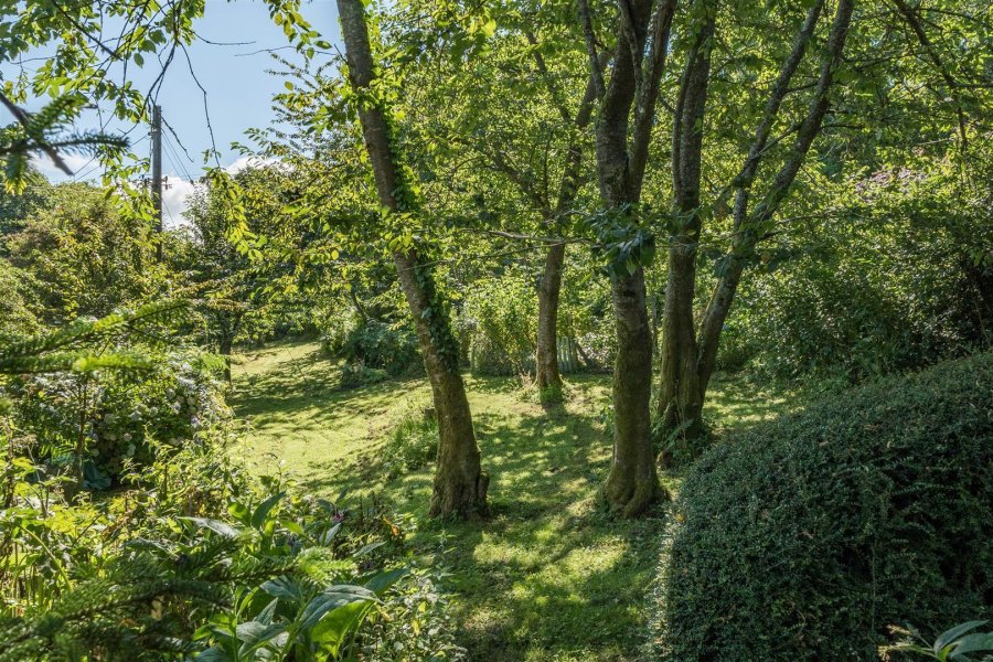 Stags 4 bedroom property for sale in Stony Knaps, Winsham, Chard