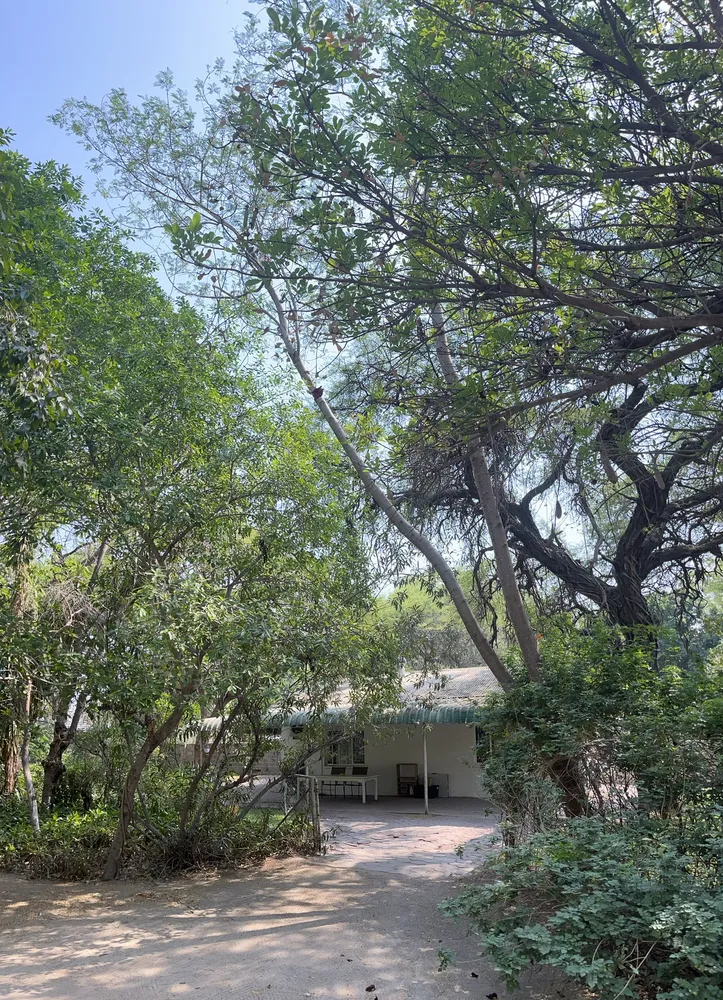 Botswana, North-West District, Maun Central, Sir Seretse Khama Road, 367