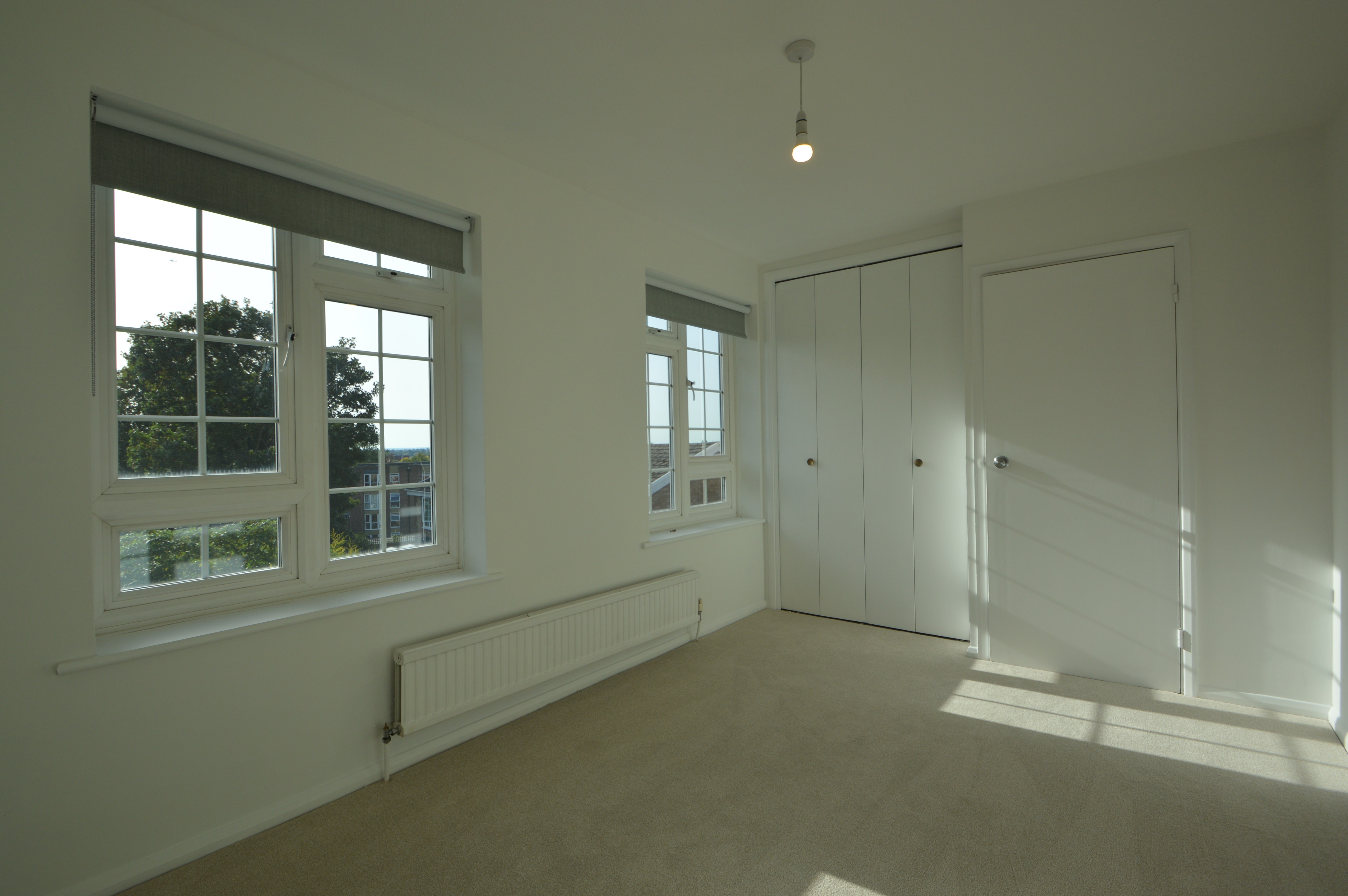 Avenue Elmers Image 8