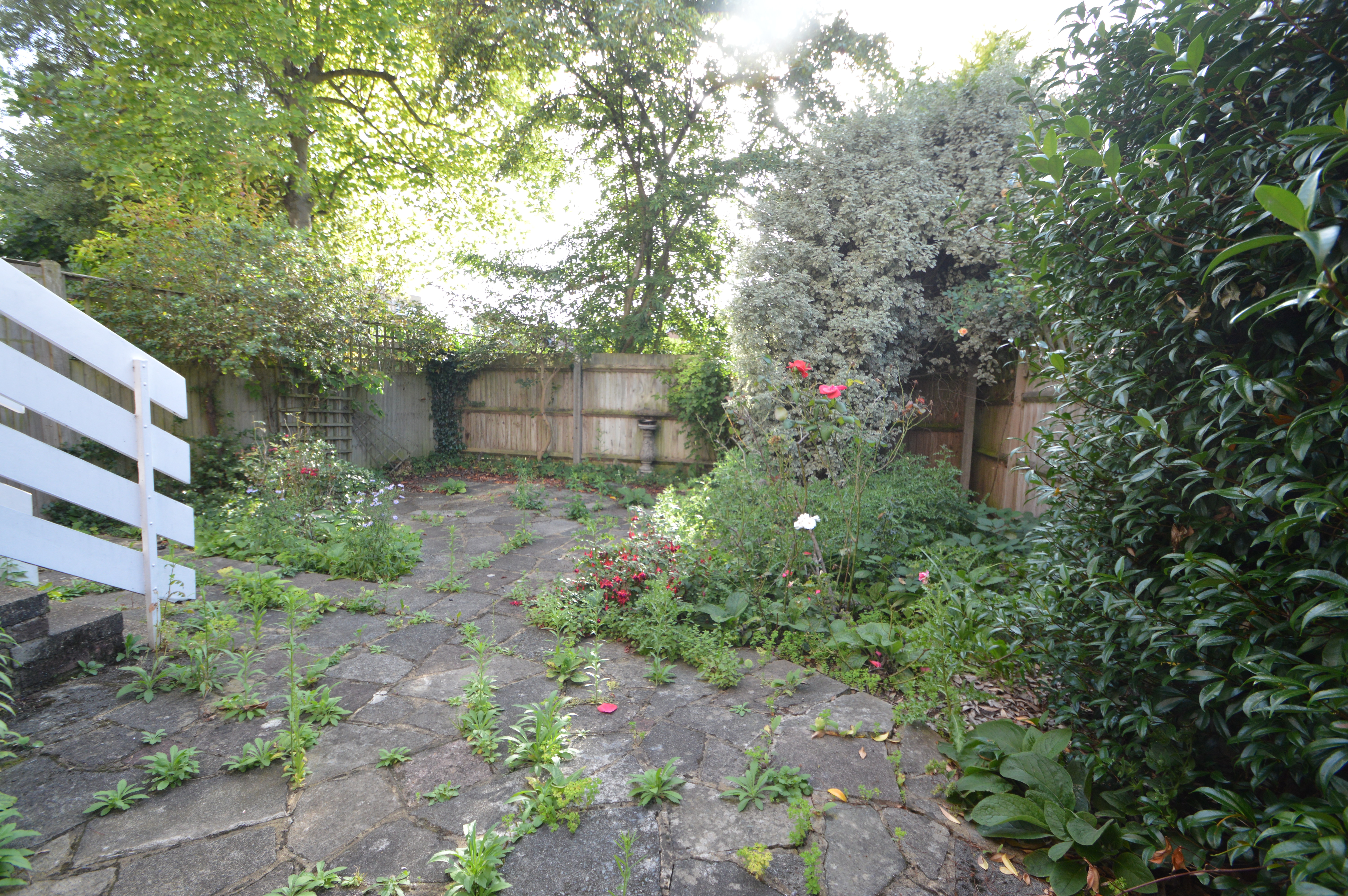 Avenue Elmers Image 14