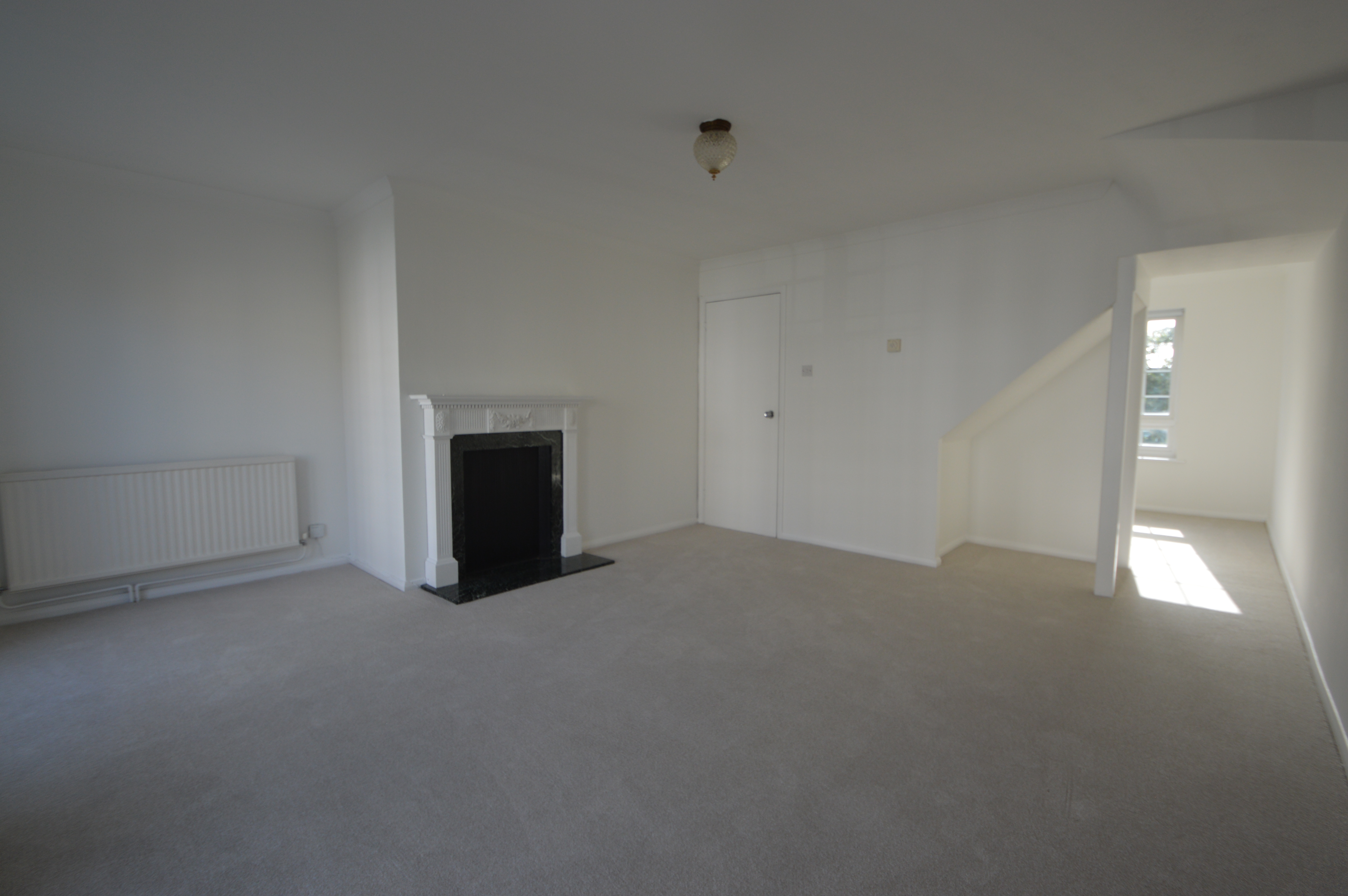 Avenue Elmers Image 3