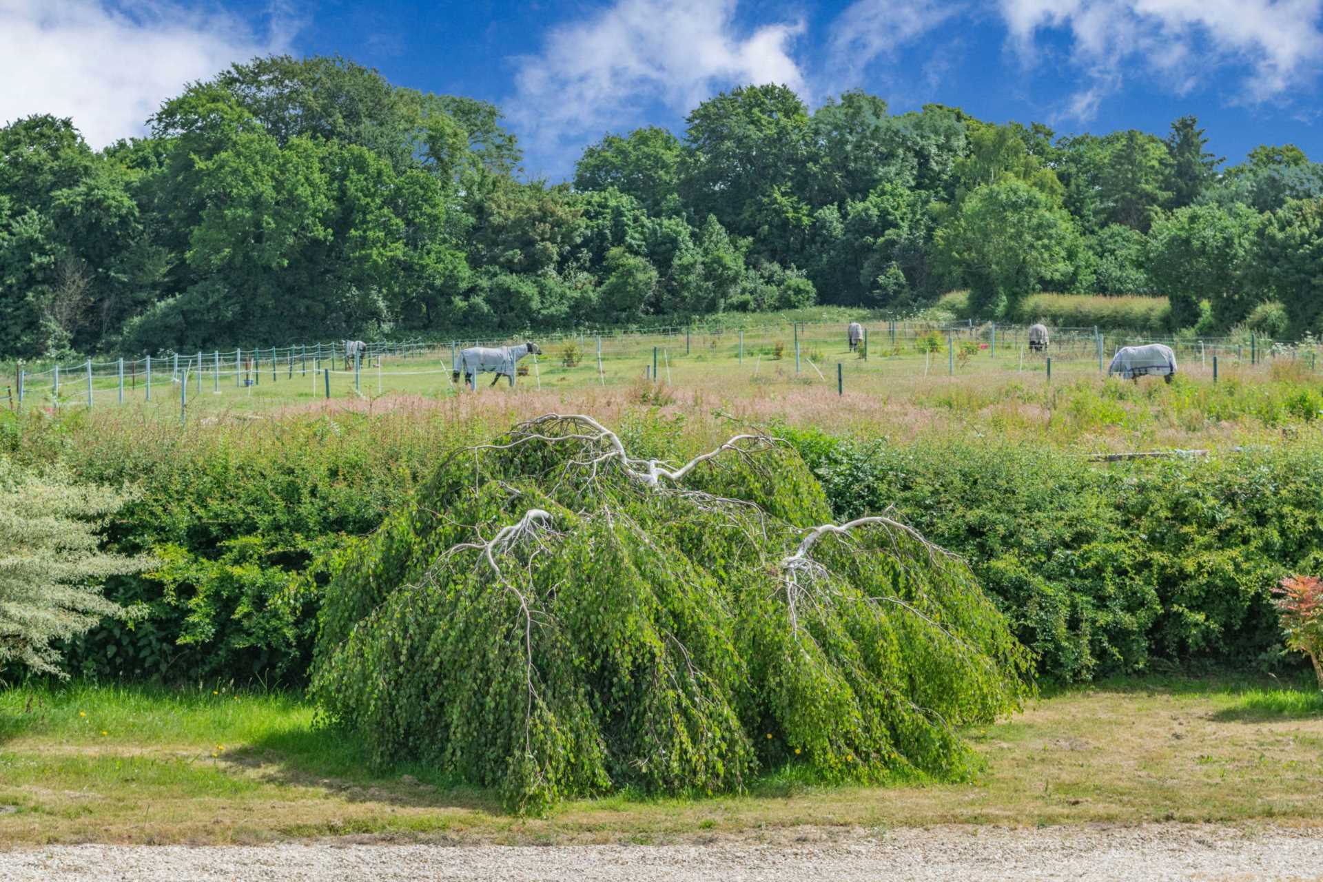 Easterton Sands Image 11