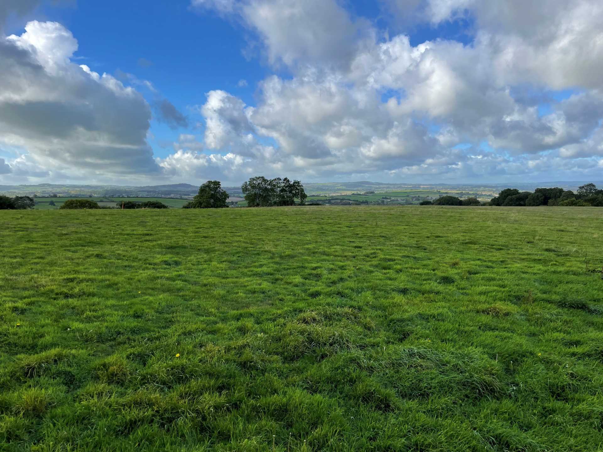 Building Plot, East Chinnock, Somerset Image 5
