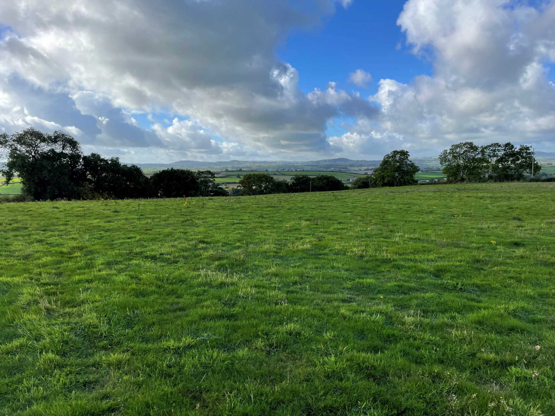 Building Plot, East Chinnock, Somerset Image 10