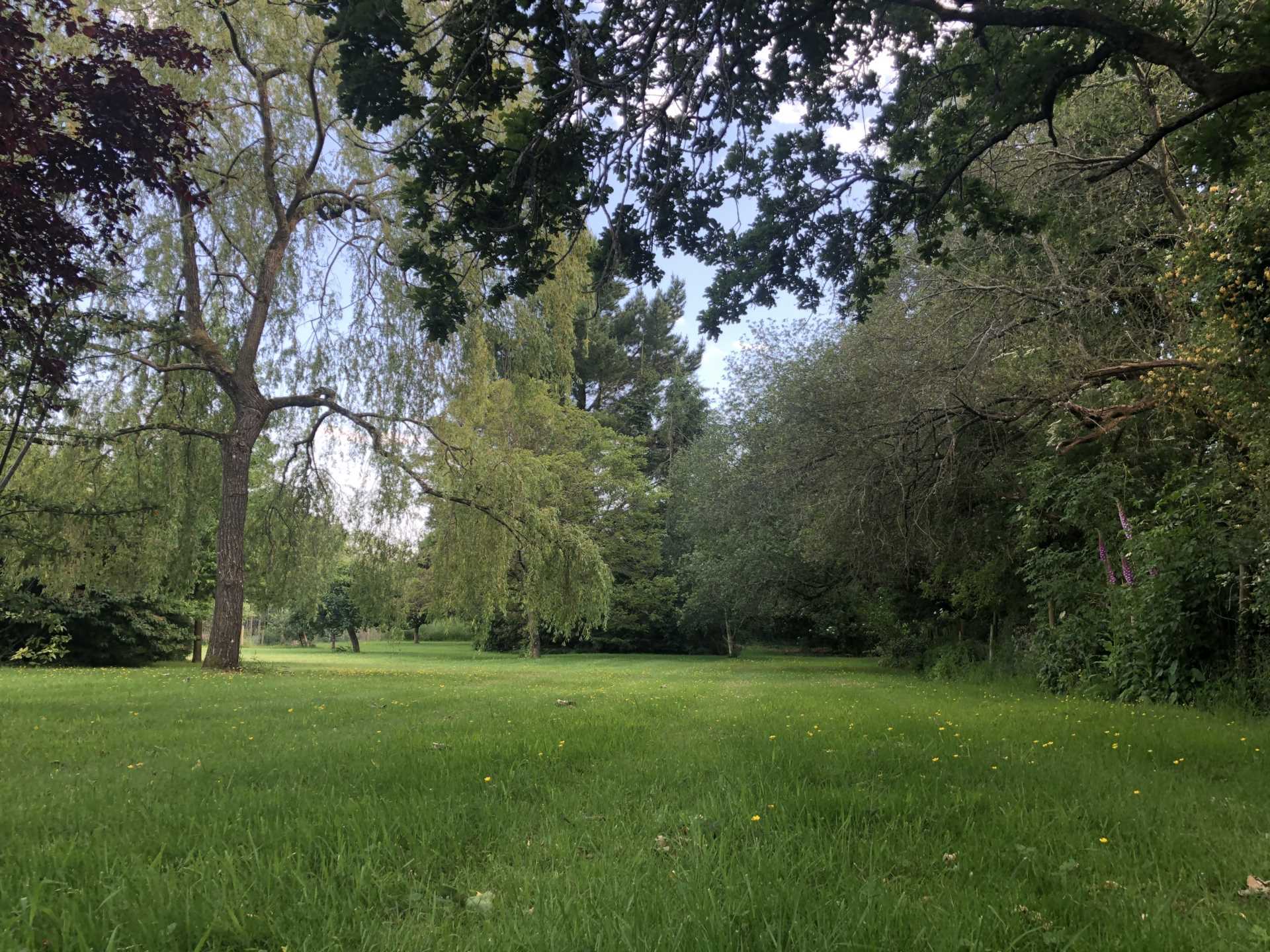 Shillingstone, Dorset Image 18