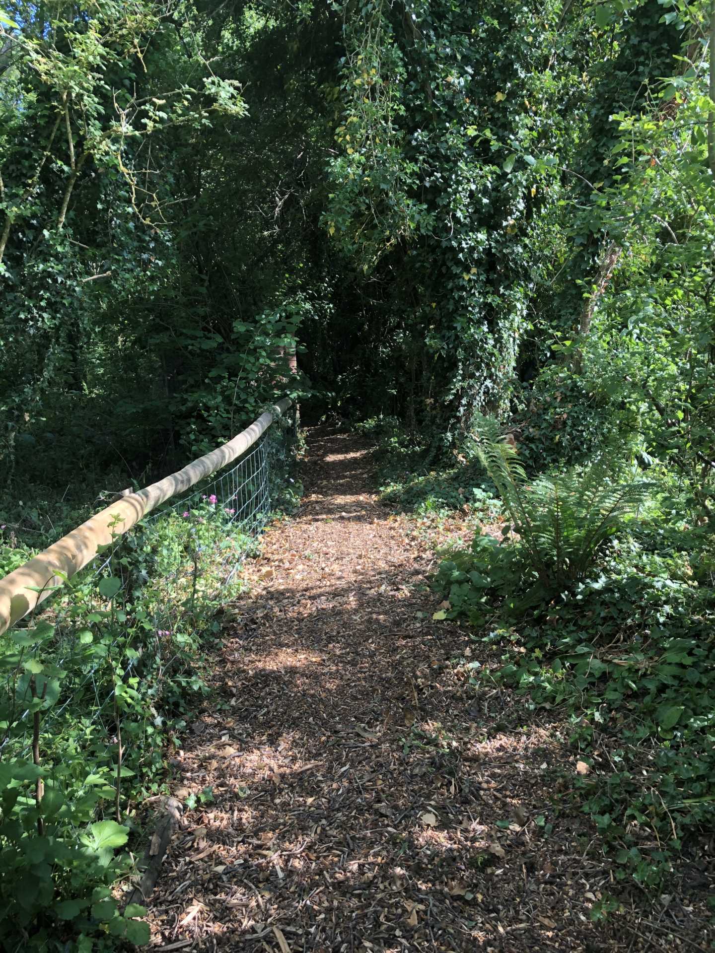 Shillingstone, Dorset Image 20