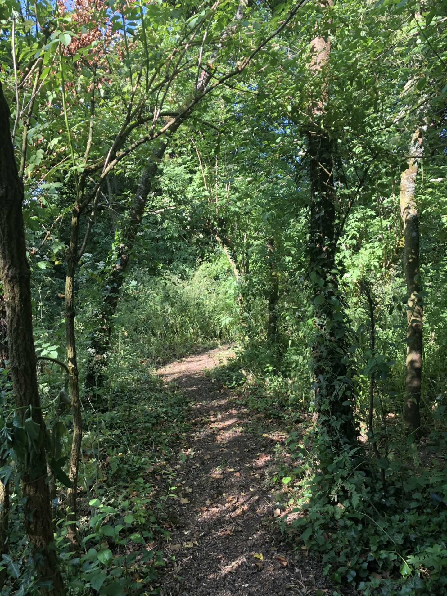 Shillingstone, Dorset Image 21