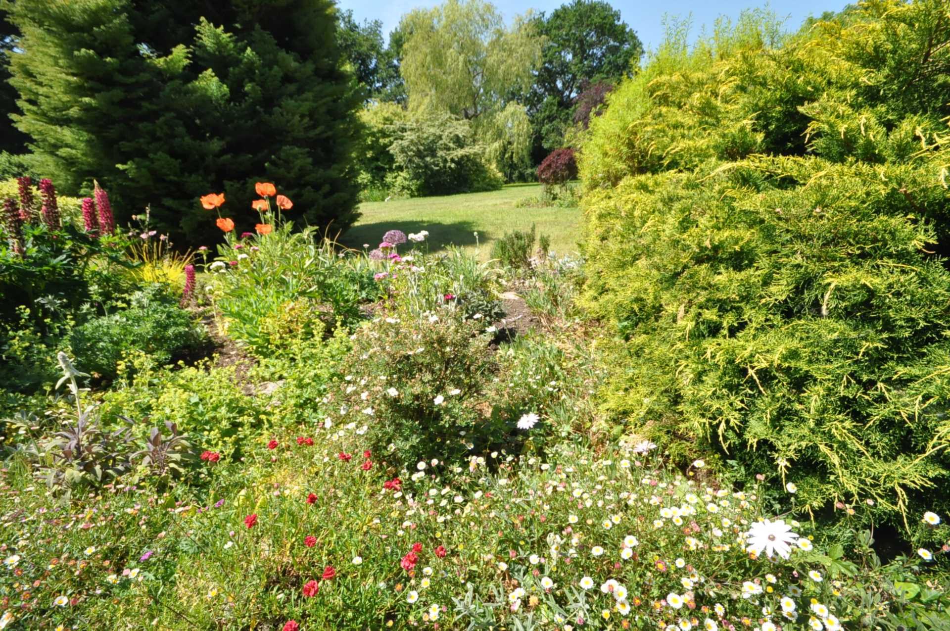 Shillingstone, Dorset Image 26