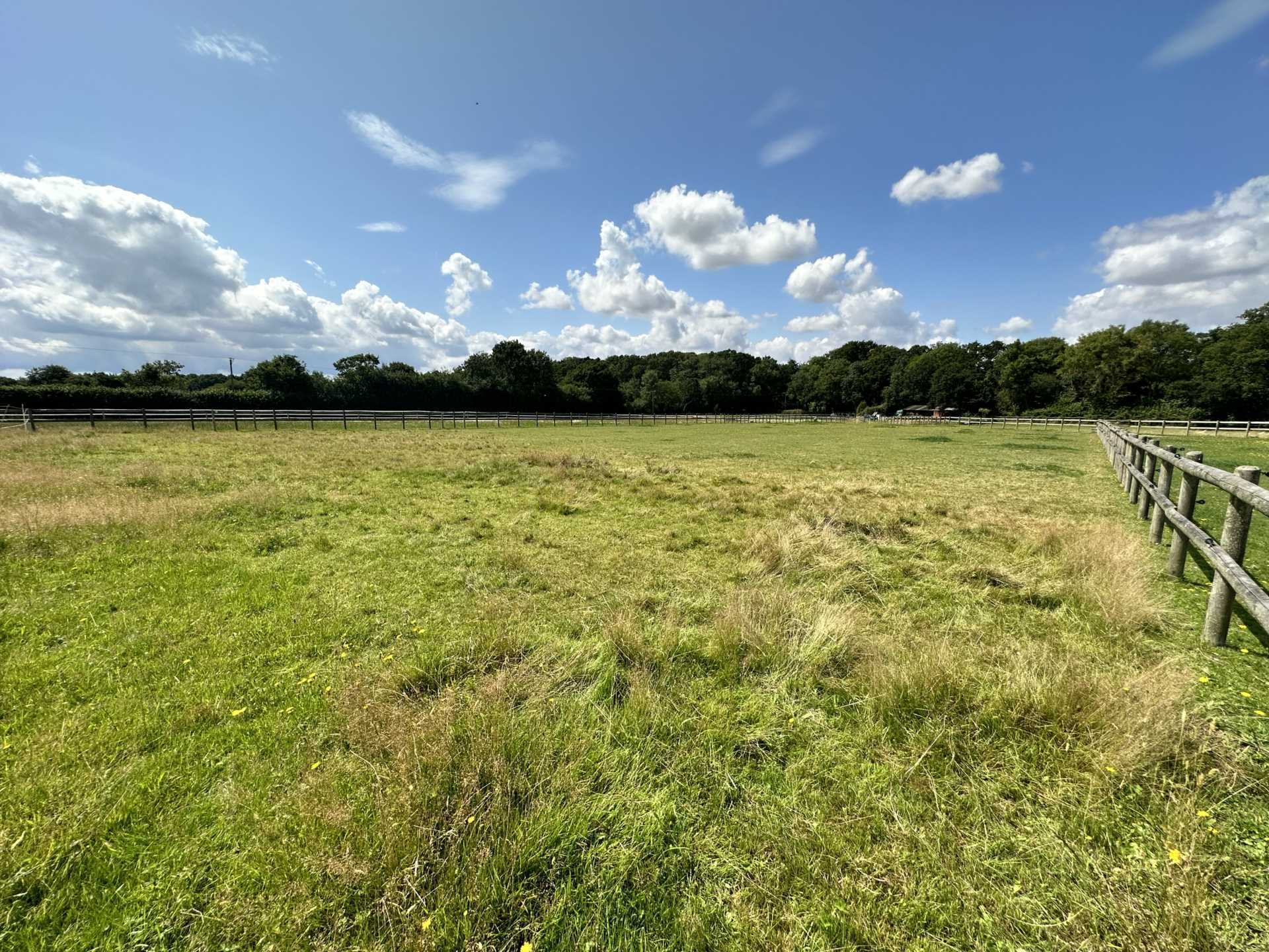 Horton Image 8