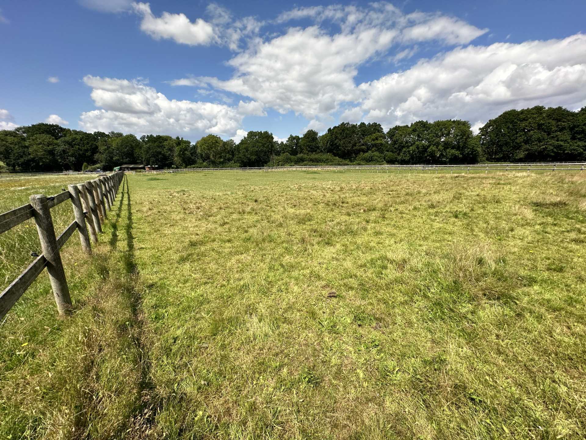 Horton Image 11