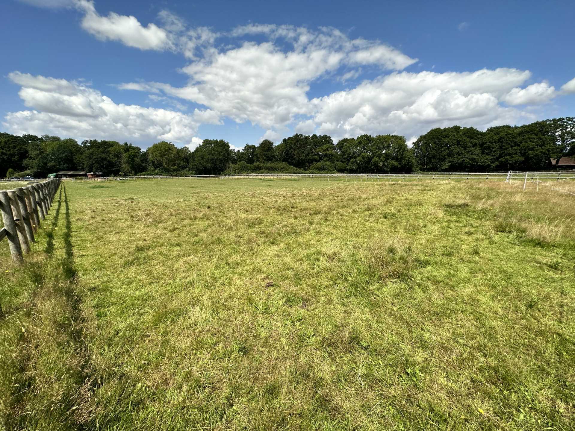 Horton Image 12
