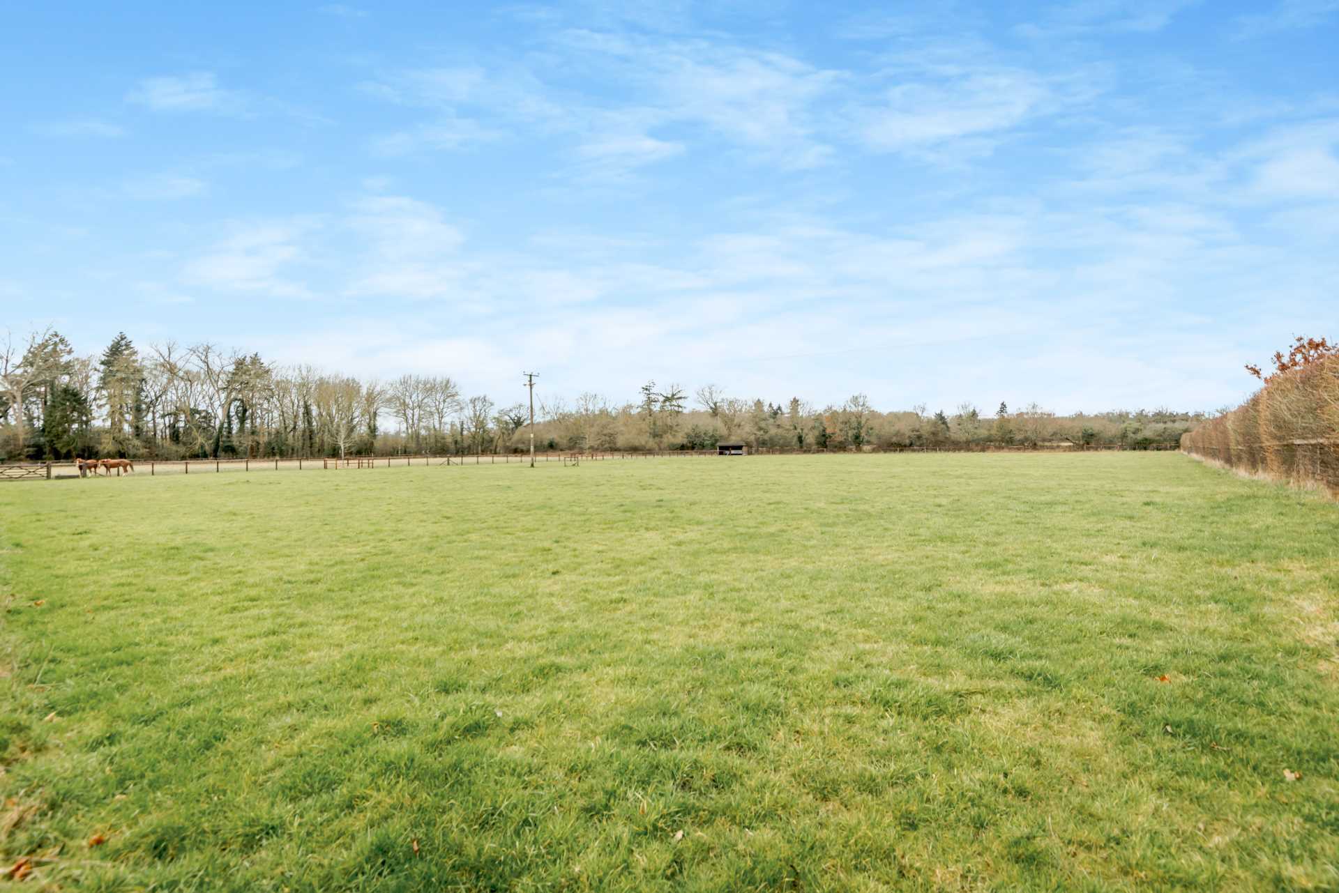 Finchampstead, Berkshire Image 18