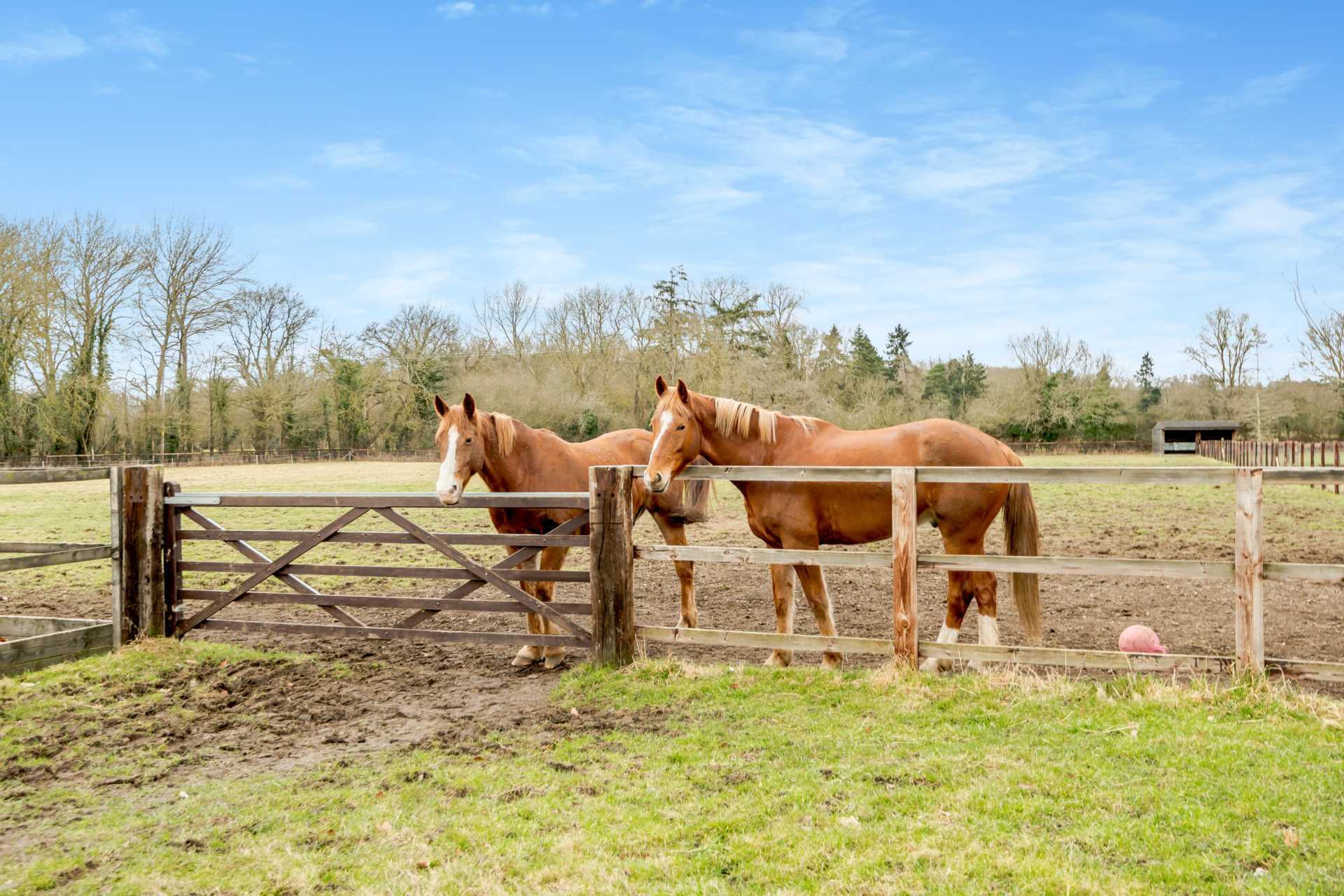 Finchampstead, Berkshire Image 20
