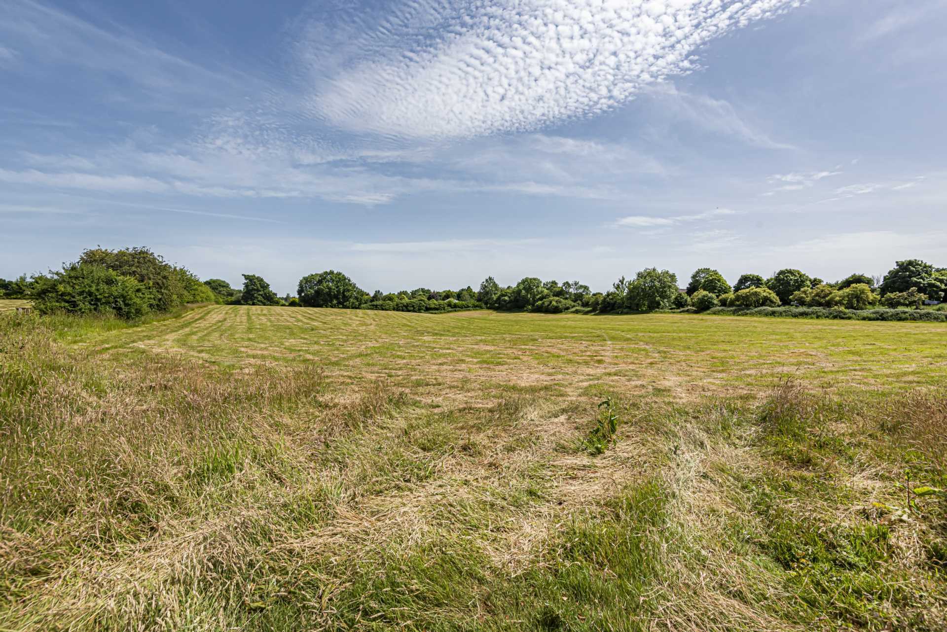Lot 3 Whiteparish, Wiltshire Image 4