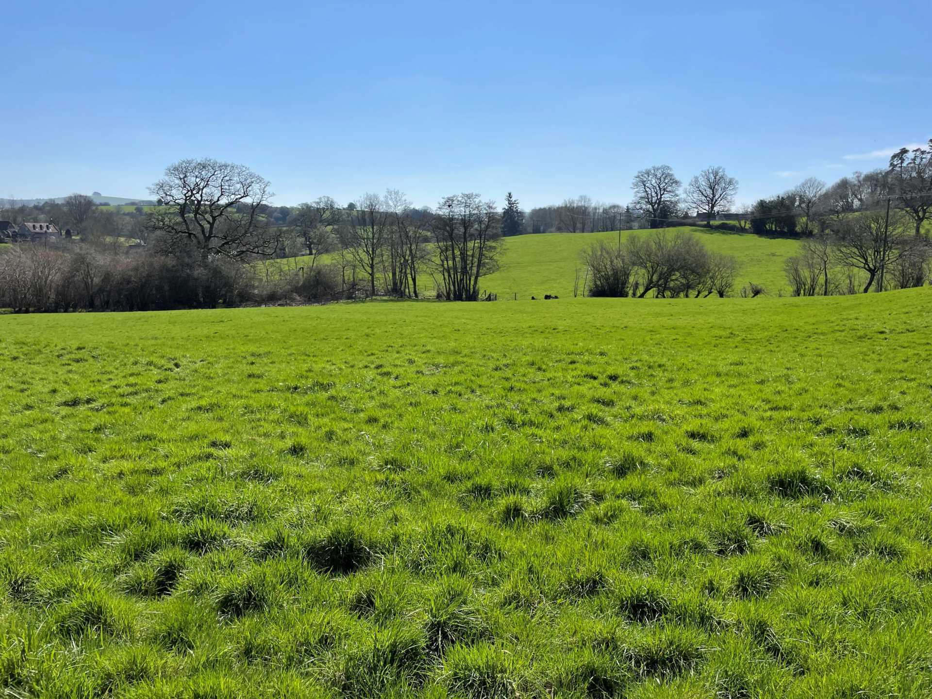 Church Hill, Donhead St Mary Image 14