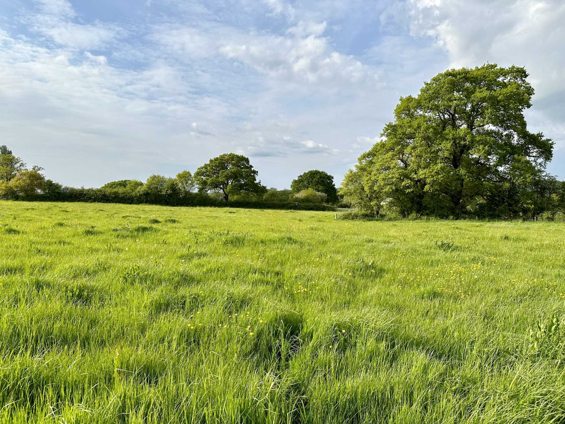 Sedgehill, Wiltshire Image 2