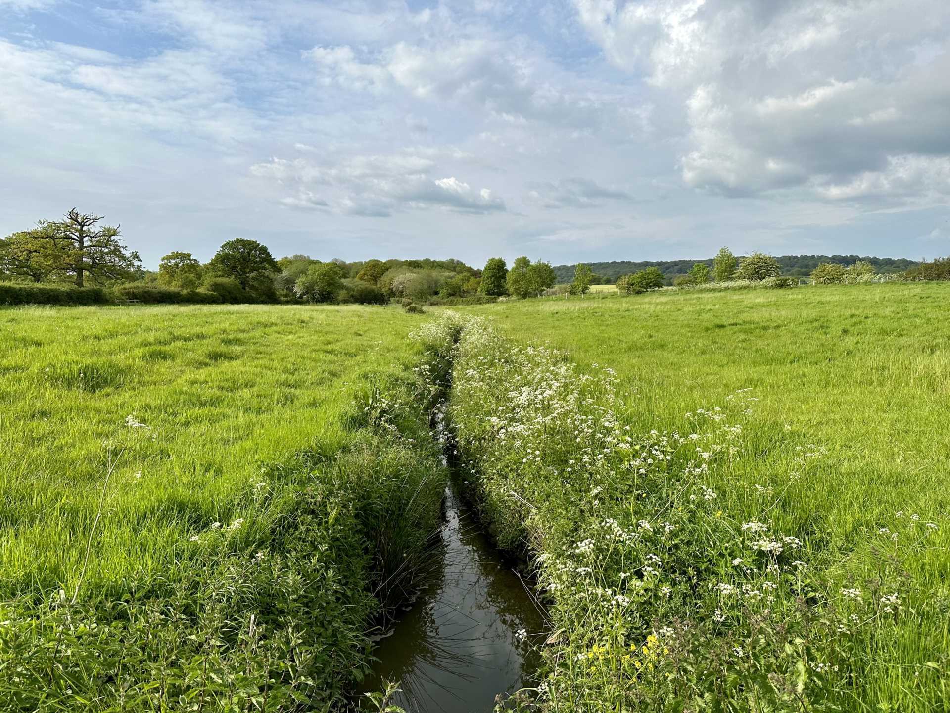 Sedgehill, Wiltshire Image 3